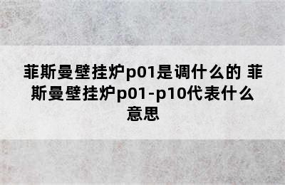 菲斯曼壁挂炉p01是调什么的 菲斯曼壁挂炉p01-p10代表什么意思